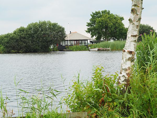 image10